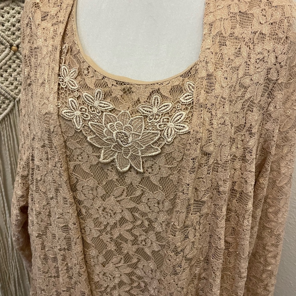 Gorgeous Roamans Gown